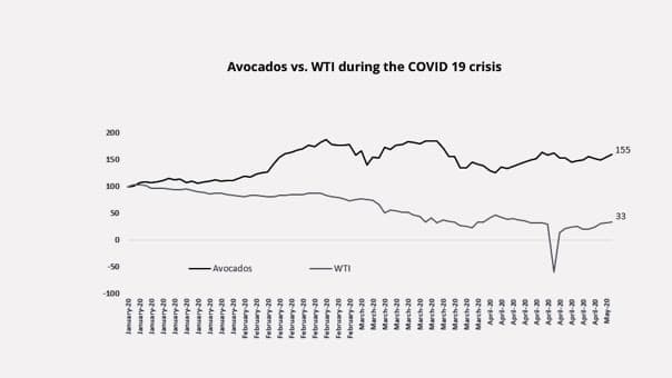 Line chart titled Avocados vs. WTI during the COVID 19 crisis, tracking both from January to May 2020 indexed to 100. The avocado line climbs to 155 while the WTI line falls to 33, dipping below zero in late April.