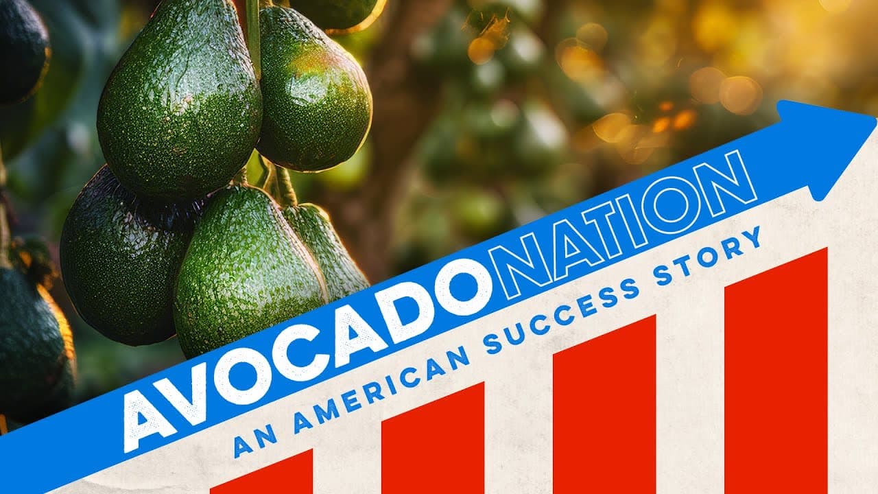 Tarjeta de título con el texto Avocado Nation, An American Success Story, sobre aguacates madurando en la rama y una gráfica de barras ascendente.
