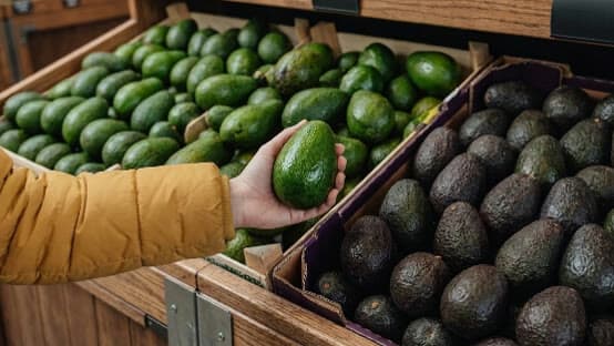 Una persona con abrigo amarillo toma un aguacate de cajas de fruta Hass verde y oscura en el exhibidor de un supermercado.