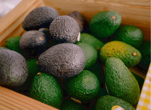 Aguacates Hass maduros, oscuros y verdes, apilados en una caja de madera.